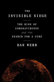INVISIBLE SIEGE by Dan Werb