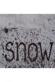 "SNOW" by Shelley Jackson